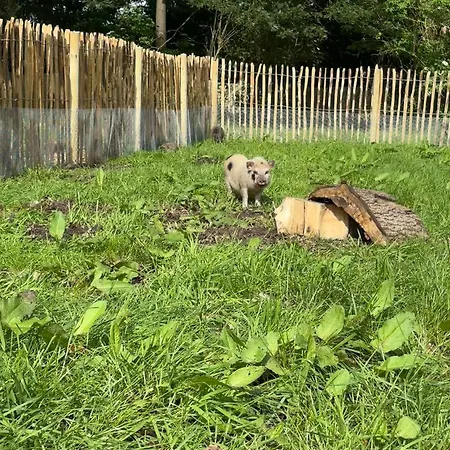 Prullenbos Tiny Nutz Nest Wetteren